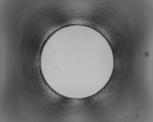 X0000089460848200707131946