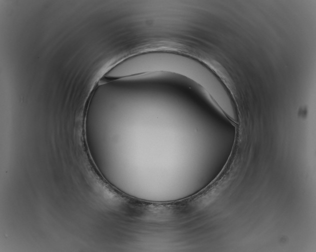 X0000089460850200707131946