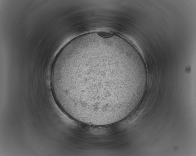 X0000089460851200707131946