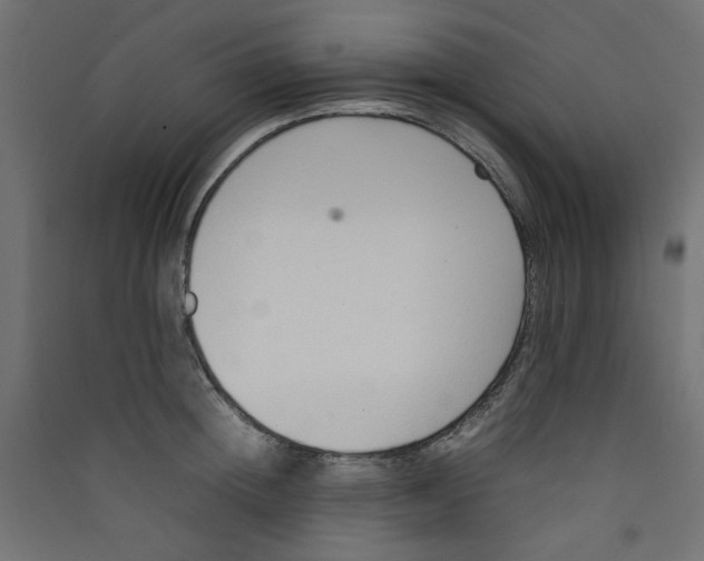 X0000089460852200707131946