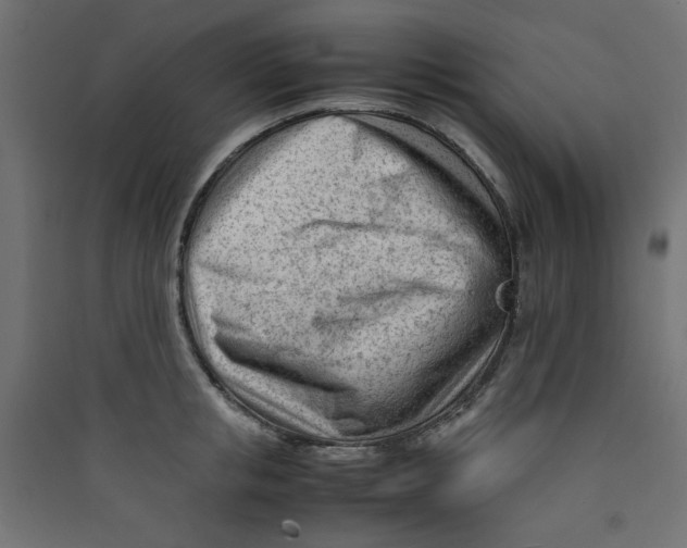 X0000089460853200707131946