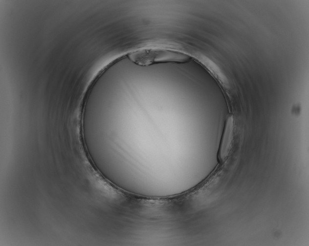 X0000089460854200707131946