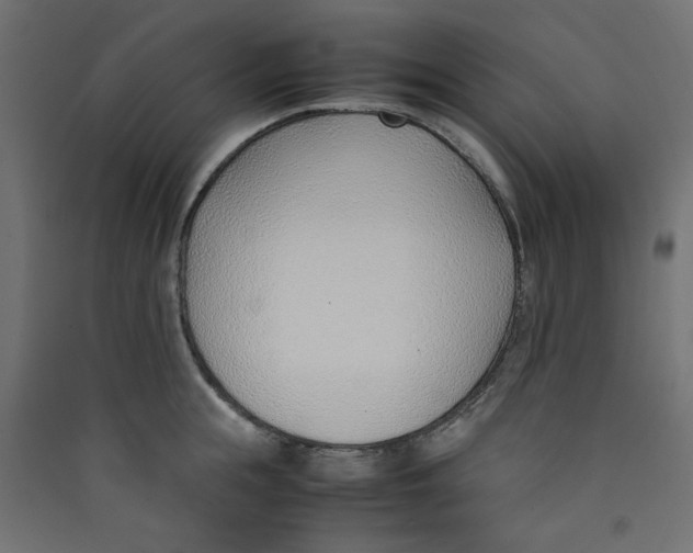 X0000089460855200707131946