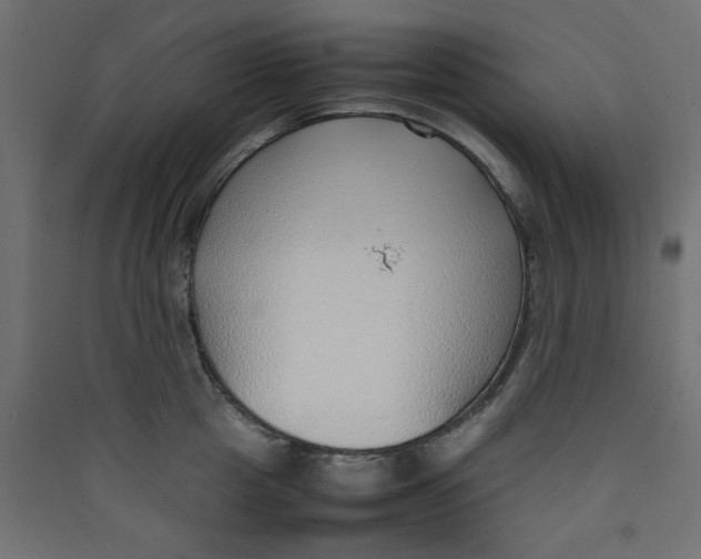 X0000089460857200707131946