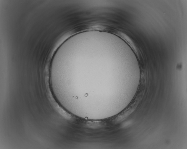 X0000089460859200707131947