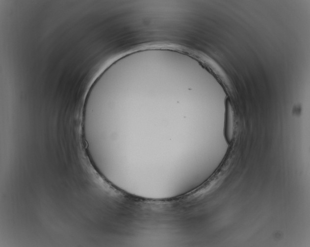 X0000089460860200707131947