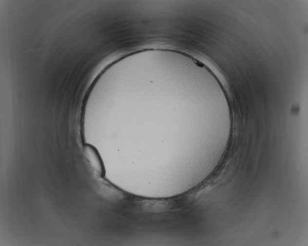 X0000089460861200707131947