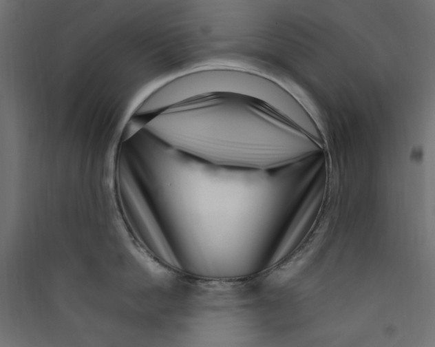 X0000089460862200707131947