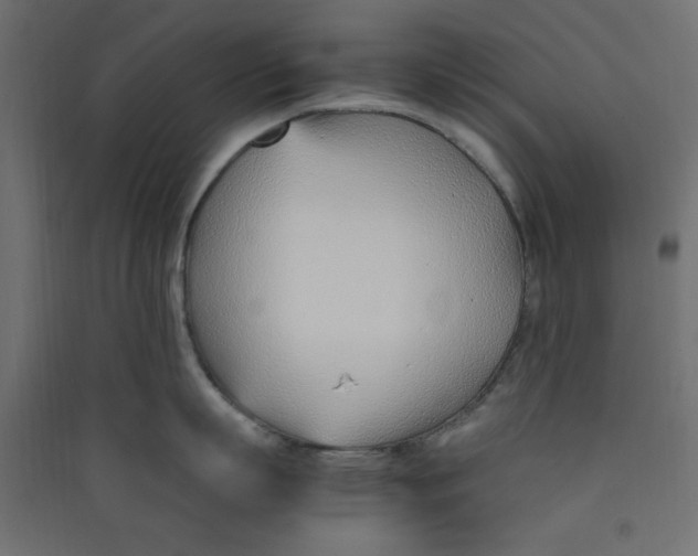 X0000089460863200707131947