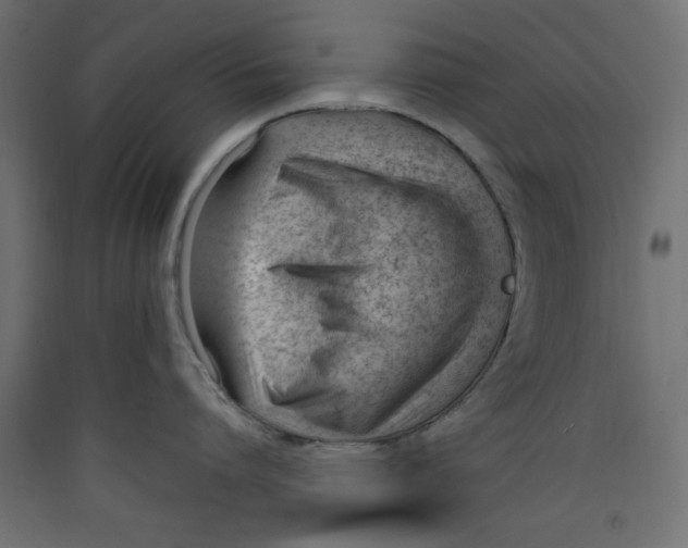 X0000089460864200707131947