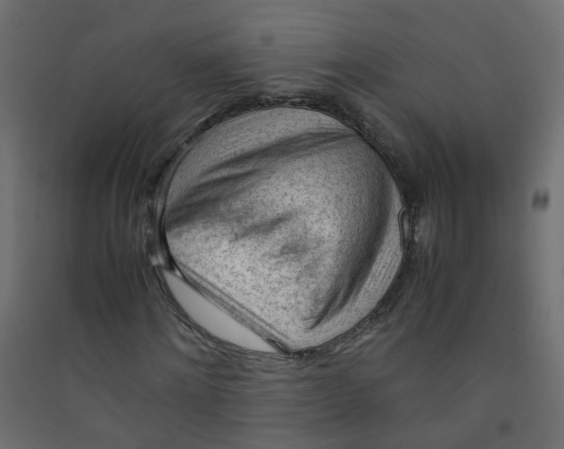 X0000089460868200707131946