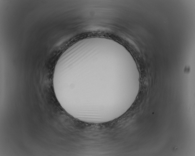 X0000089460869200707131946