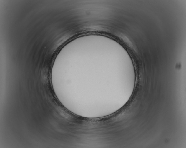 X0000089460873200707131946