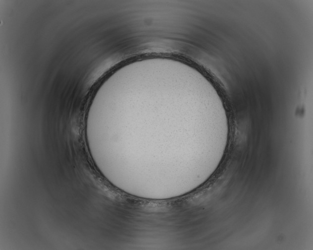 X0000089460874200707131946