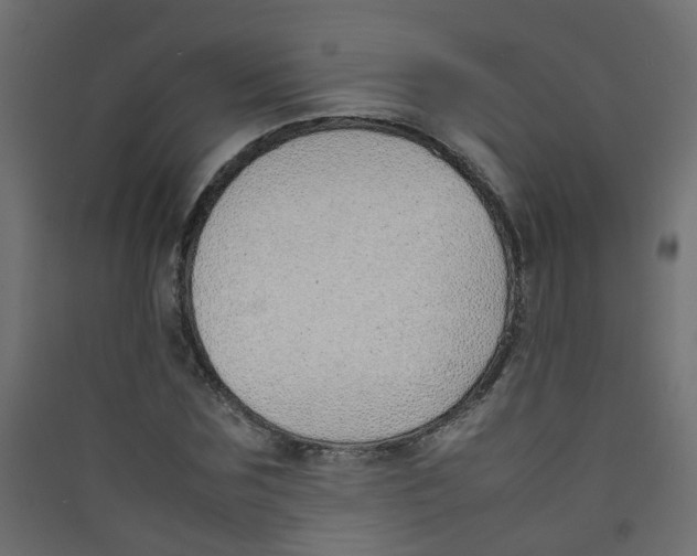 X0000089460875200707131946