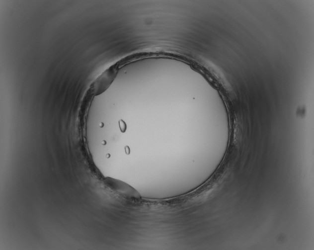 X0000089460876200707131946