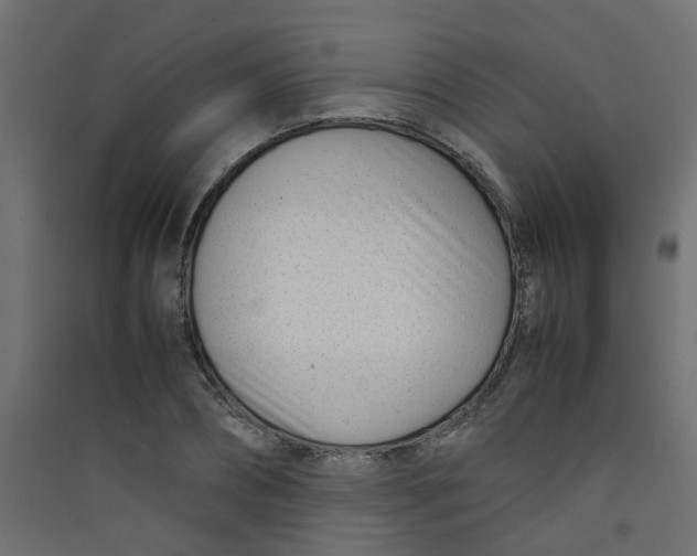 X0000089460882200707131946