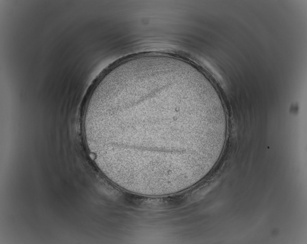 X0000089460883200707131946