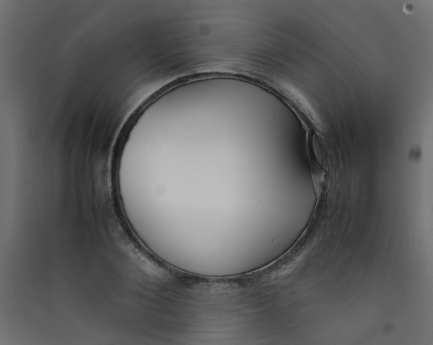 X0000089460884200707131946