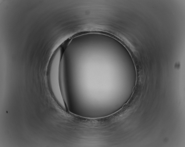 X0000089460885200707131946