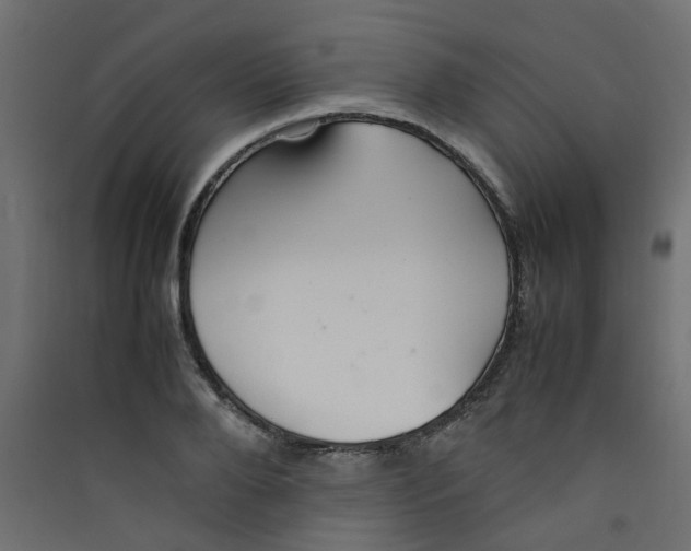 X0000089460888200707131946