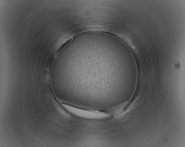 X0000089460889200707131946