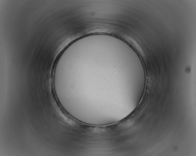 X0000089460890200707131946