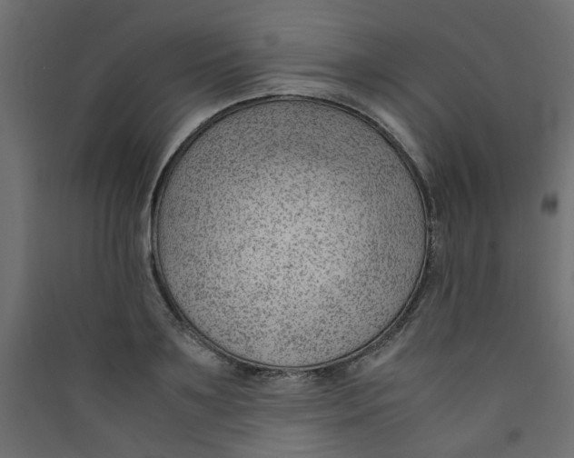 X0000089460891200707131946