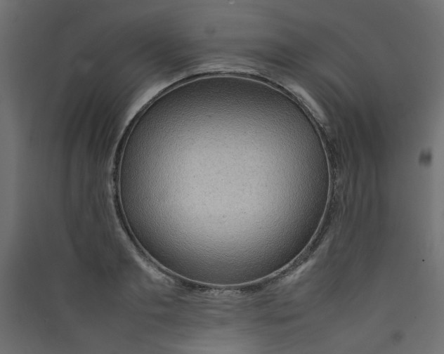 X0000089460893200707131946