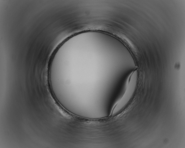 X0000089460894200707131946