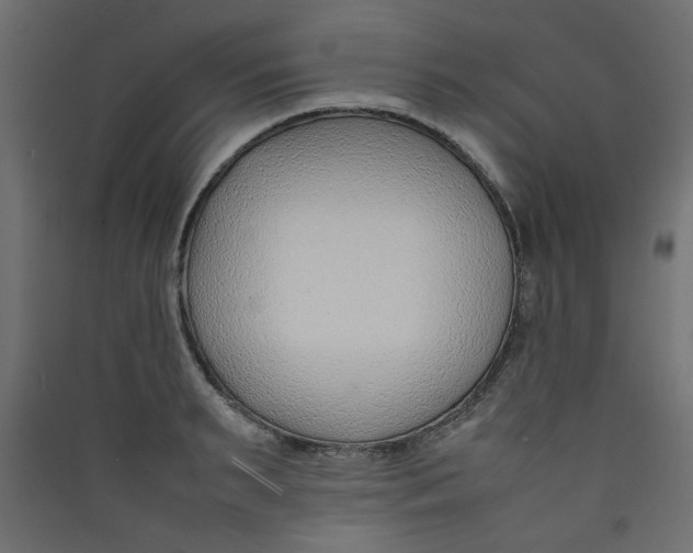 X0000089460895200707131946