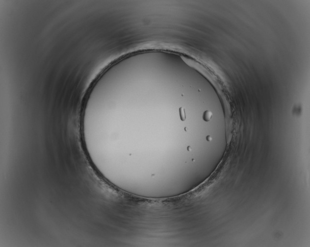 X0000089460896200707131946