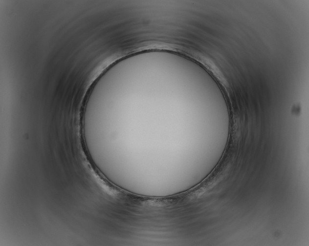 X0000089460898200707131946