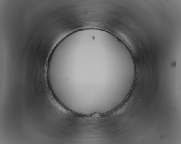 X0000089460900200707131946