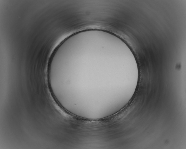 X0000089460902200707131946