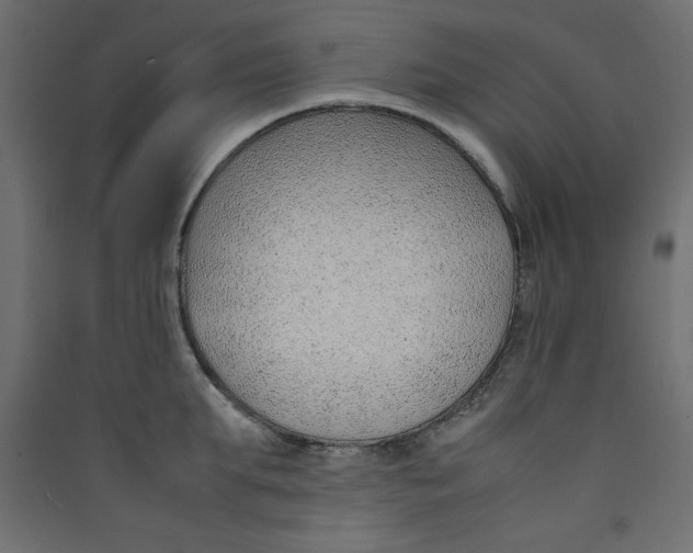 X0000089460903200707131945