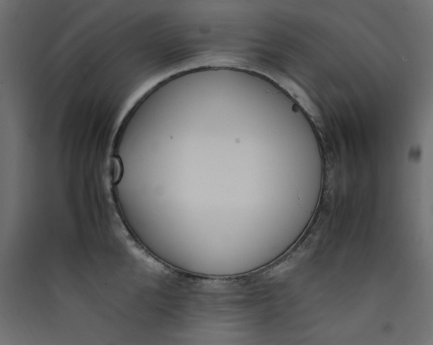 X0000089460904200707131945