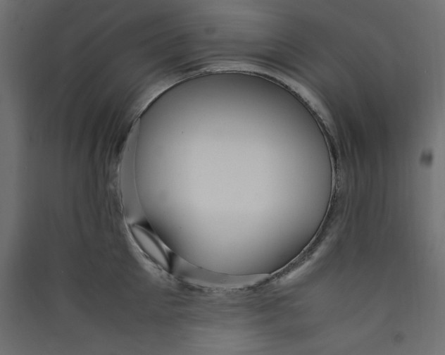 X0000089460905200707131945