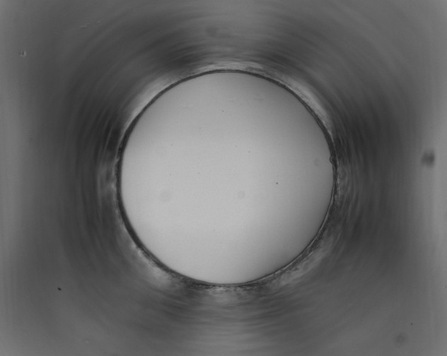 X0000089460906200707131945