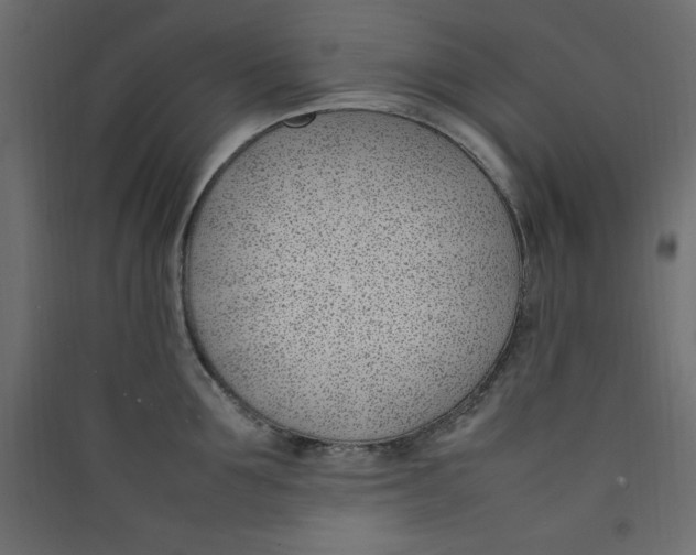 X0000089460907200707131945