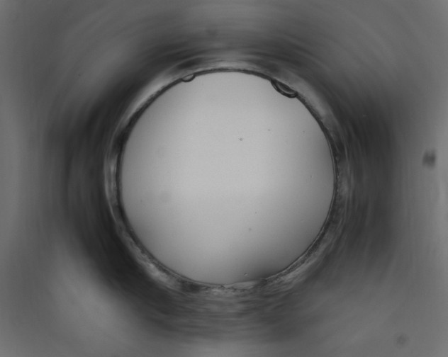 X0000089460910200707131945