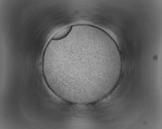 X0000089460911200707131945