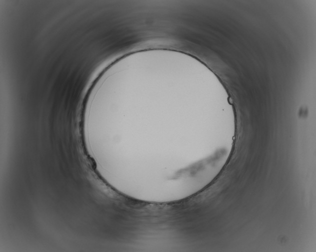 X0000089460912200707131945