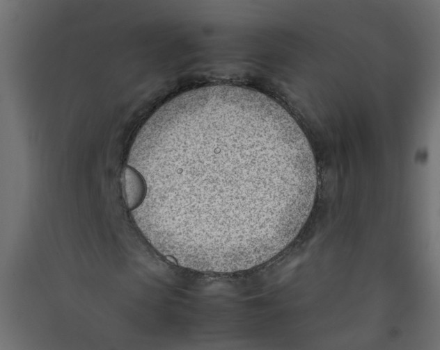 X0000089460913200707131945