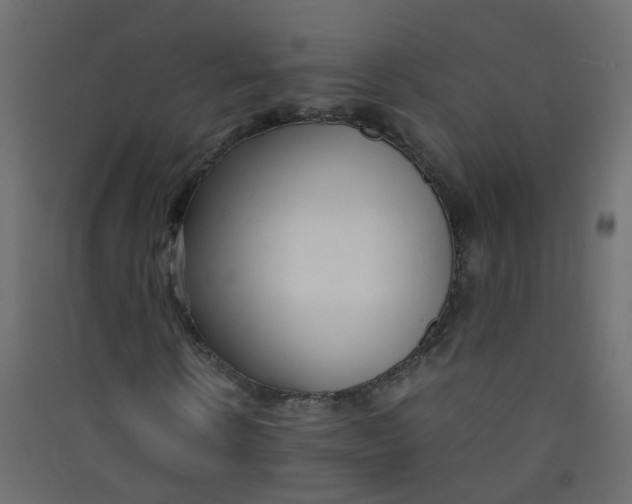 X0000089460914200707131945