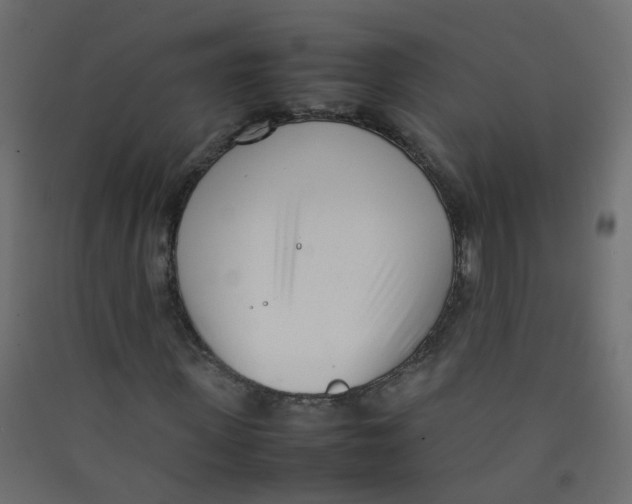 X0000089460915200707131945