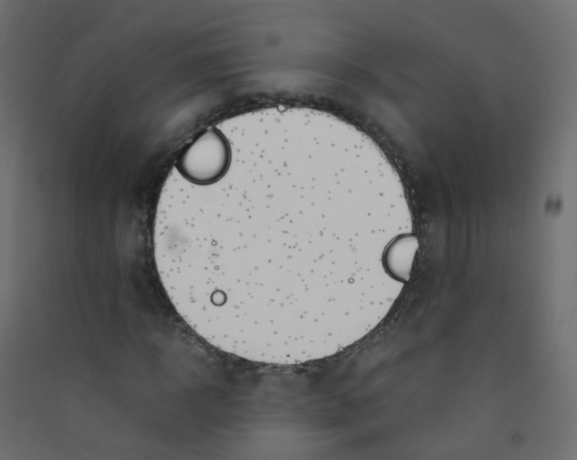 X0000089460918200707131945