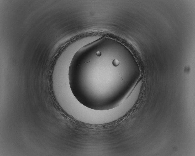 X0000089460920200707131945