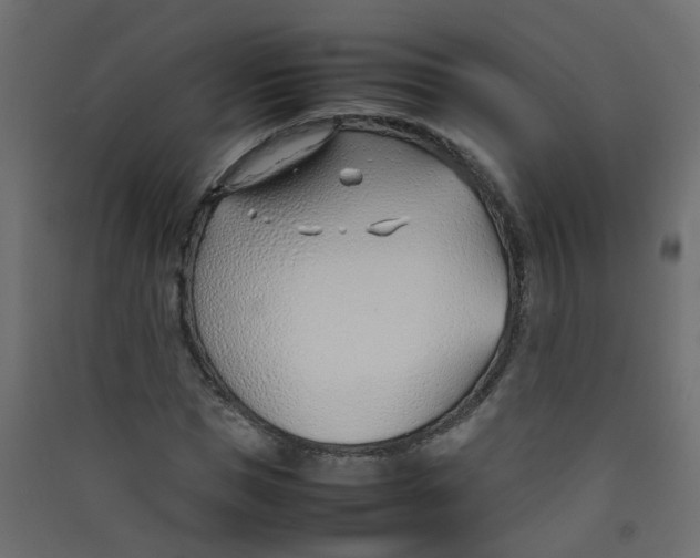 X0000089460921200707131945