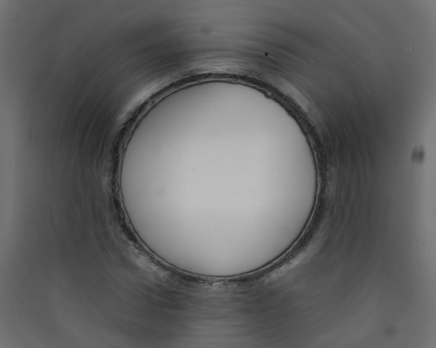 X0000089460922200707131945